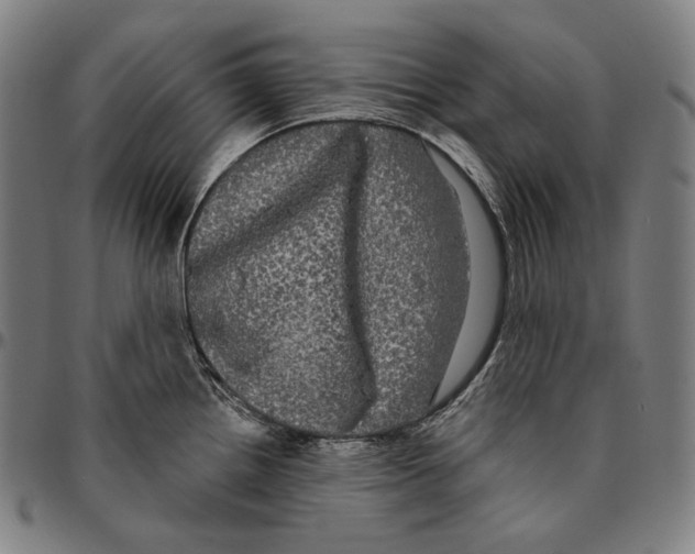 X0000095111242200801041153