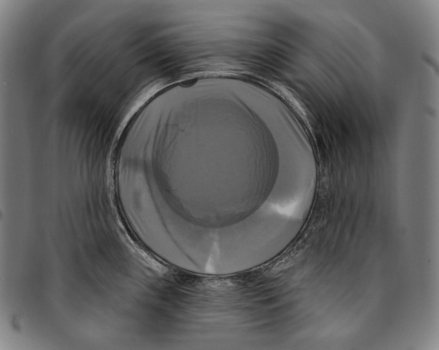 X0000095111243200801041153