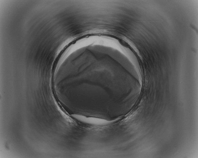 X0000095111245200801041153