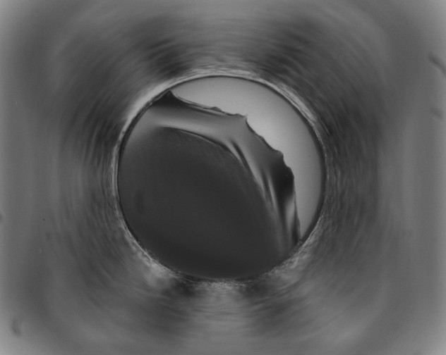 X0000095111246200801041153
