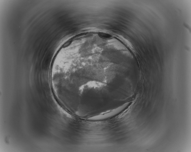 X0000095111247200801041153