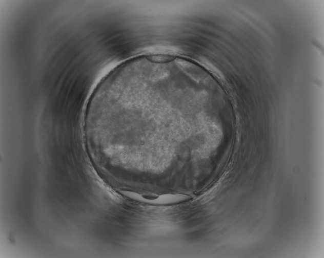 X0000095111248200801041153