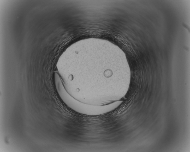 X0000095111249200801041152