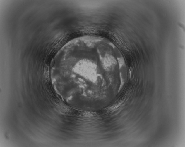 X0000095111251200801041152