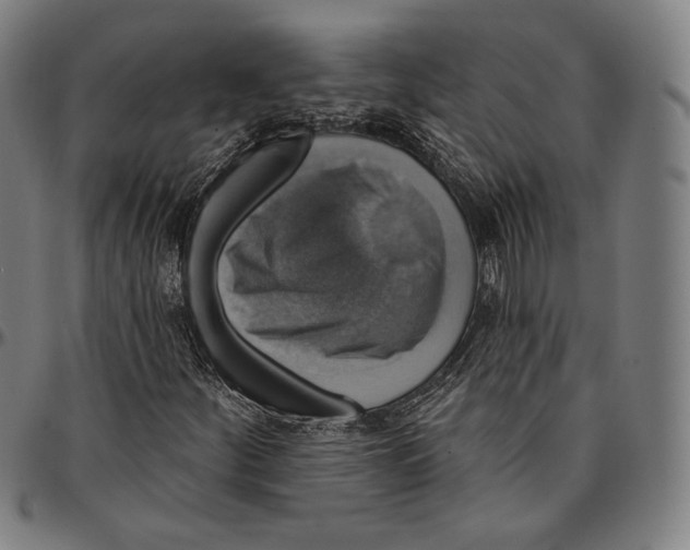 X0000095111252200801041152