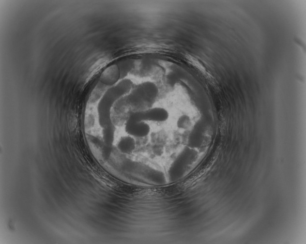 X0000095111259200801041152