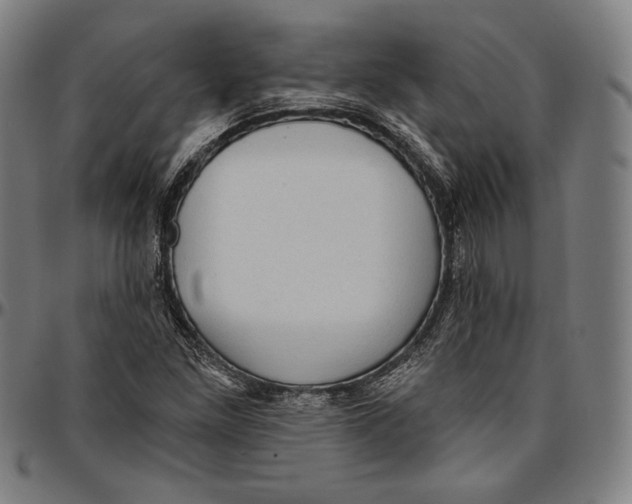 X0000095111261200801041152