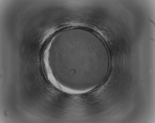 X0000095111263200801041152