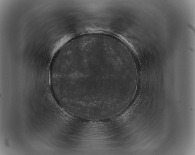 X0000095111269200801041152