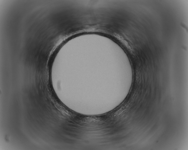 X0000095111270200801041152