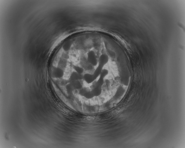 X0000095111271200801041152