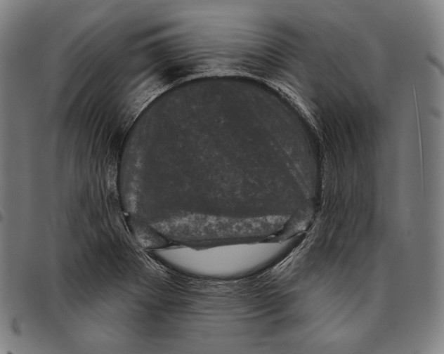 X0000095111273200801041152