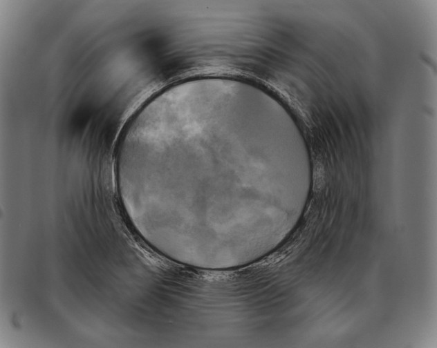 X0000095111274200801041152