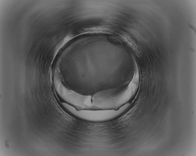 X0000095111275200801041152