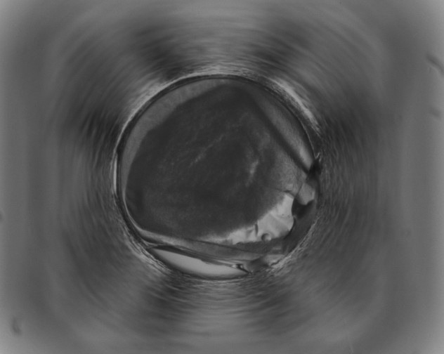 X0000095111276200801041152