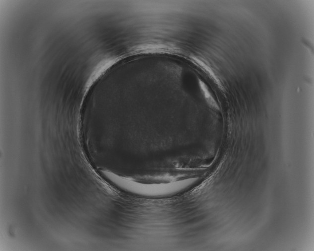 X0000095111277200801041152