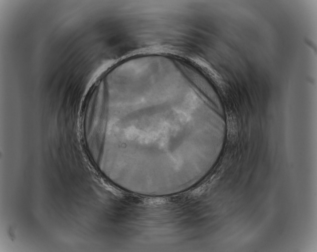 X0000095111278200801041152