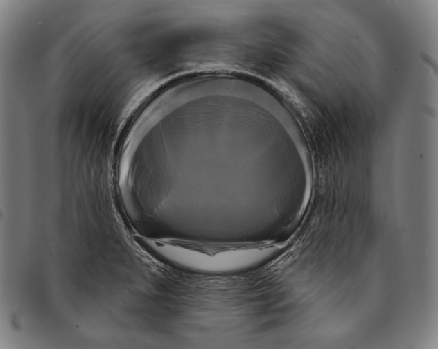 X0000095111279200801041152