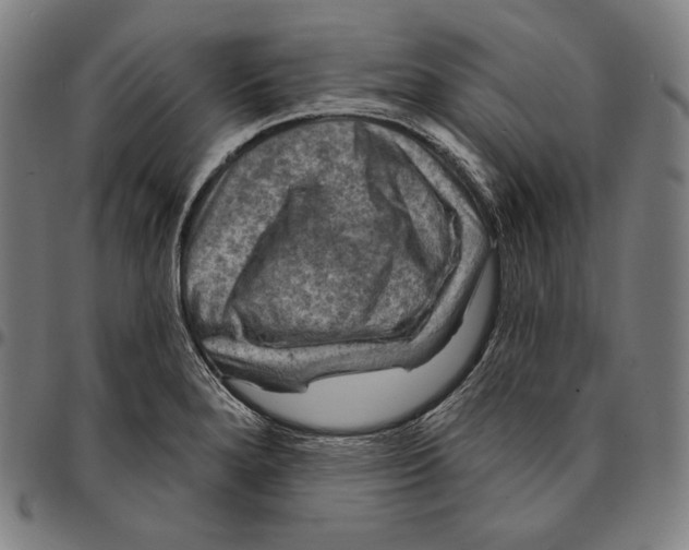 X0000095111280200801041152