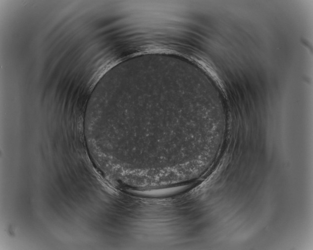 X0000095111281200801041152