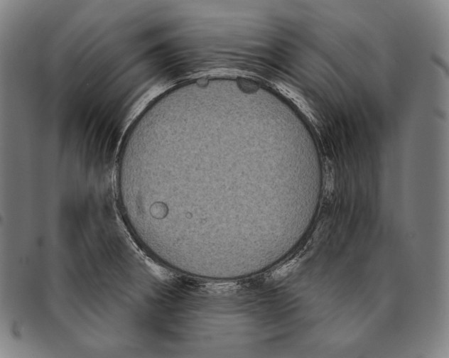 X0000095111282200801041152