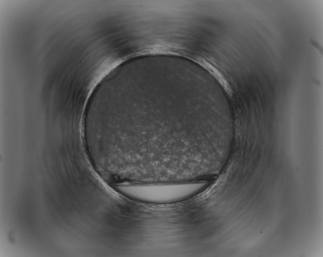 X0000095111285200801041152