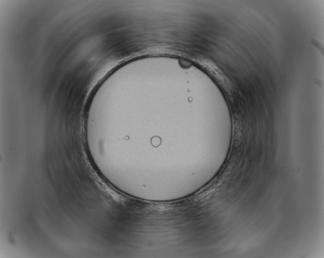 X0000095111286200801041152