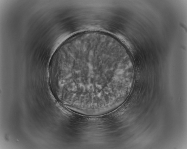 X0000095111287200801041152