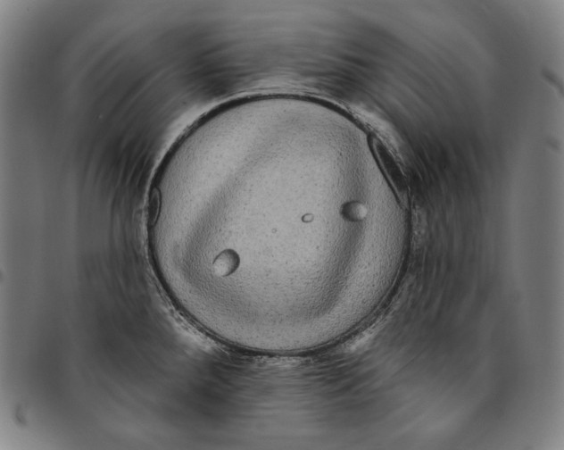 X0000095111288200801041152