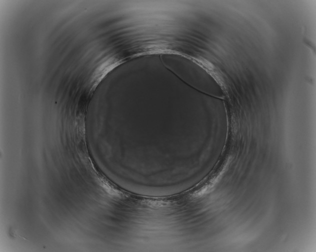 X0000095111289200801041152