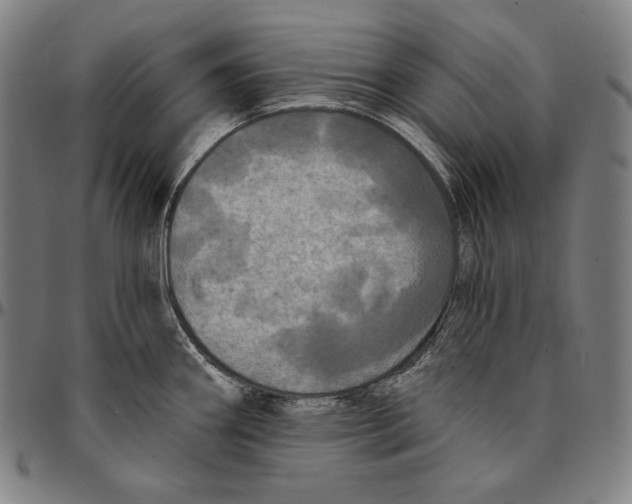 X0000095111290200801041152