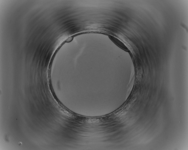 X0000095111291200801041152
