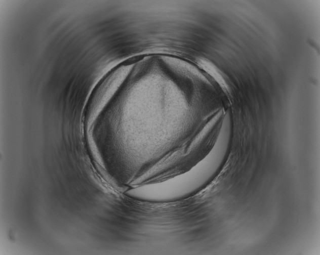 X0000095111292200801041152