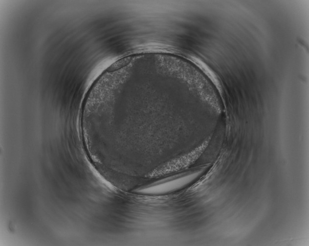 X0000095111293200801041152