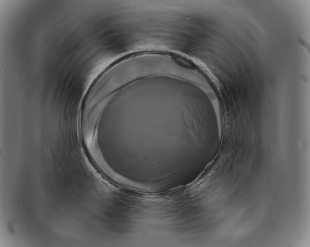 X0000095111295200801041152