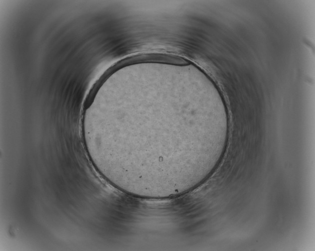 X0000095111296200801041152