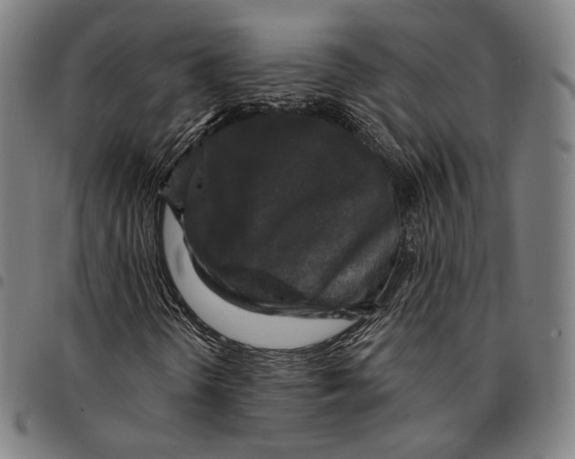 X0000095111298200801041151