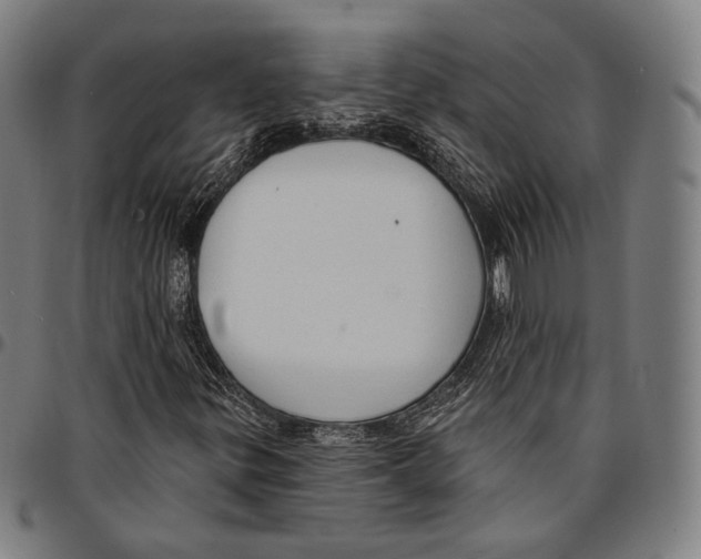 X0000095111299200801041151