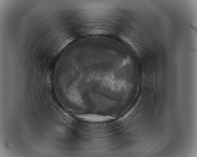 X0000095111305200801041151