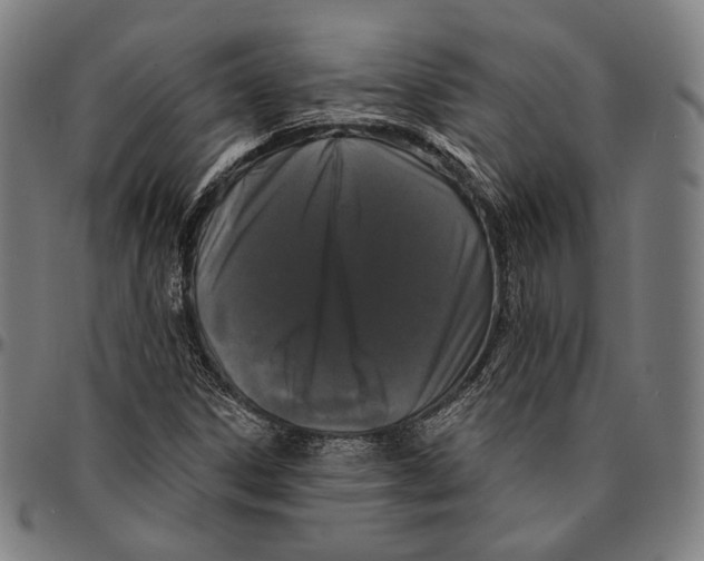 X0000095111306200801041151