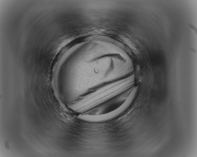 X0000095111308200801041151