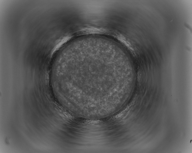 X0000095111309200801041151