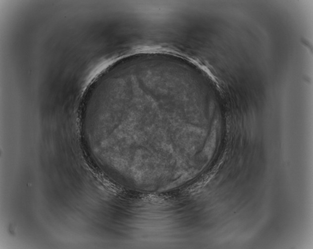 X0000095111311200801041151