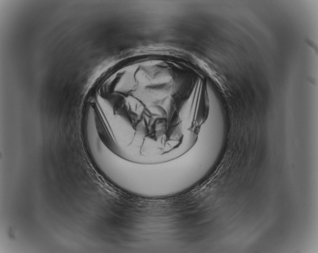 X0000095111312200801041151