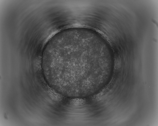 X0000095111314200801041151