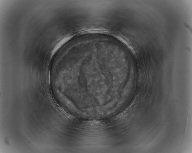 X0000095111317200801041151