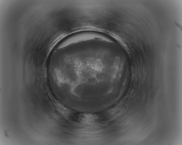 X0000095111318200801041151