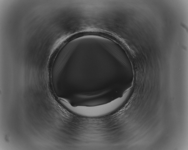 X0000095111319200801041151