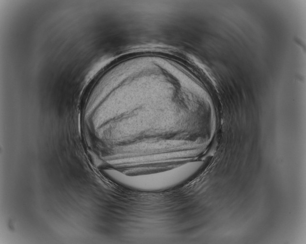 X0000095111320200801041151