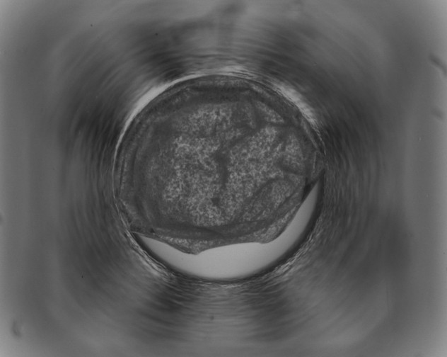 X0000095111324200801041151